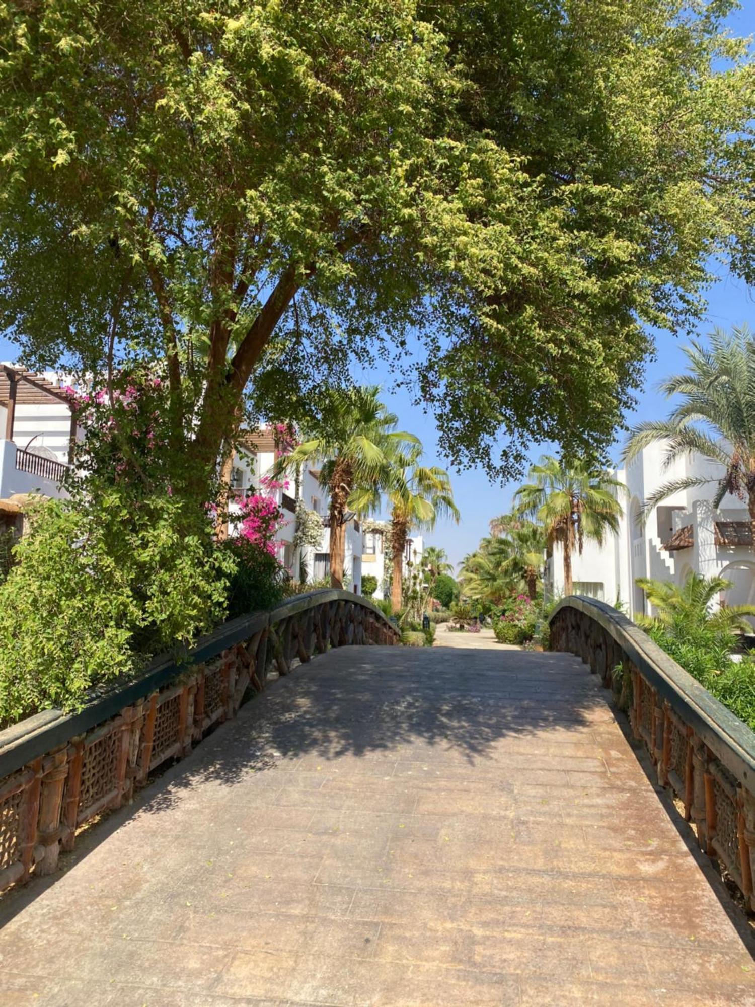 Апартаменты Delta Sharm Экстерьер фото