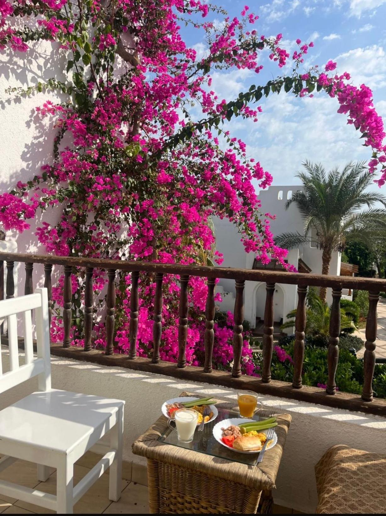 Апартаменты Delta Sharm Экстерьер фото